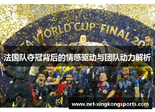 法国队夺冠背后的情感驱动与团队动力解析